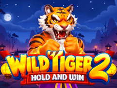 وائلڈ ٹائیگر 2 game thumbnail